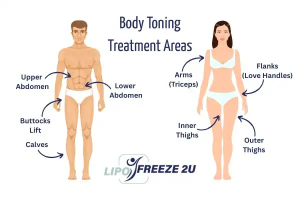 Graphic showing where you can have Body toning Treatment Stourport-on-Severn on your body